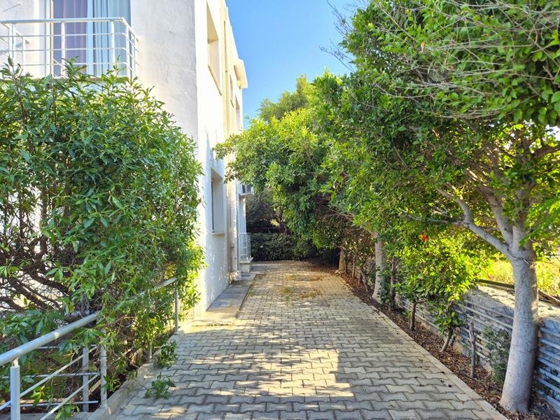 Picture of Property