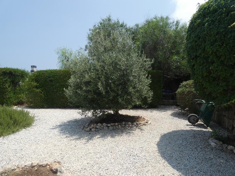 Picture of Property