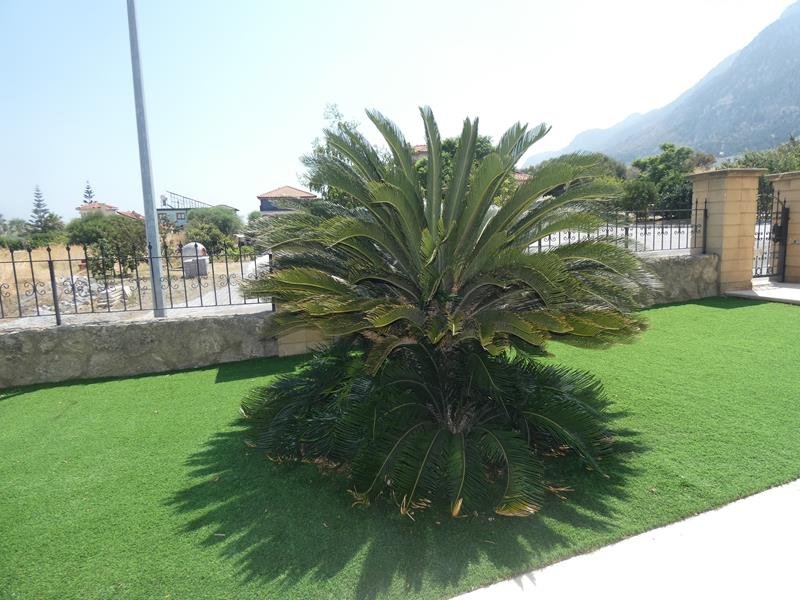 Picture of Property