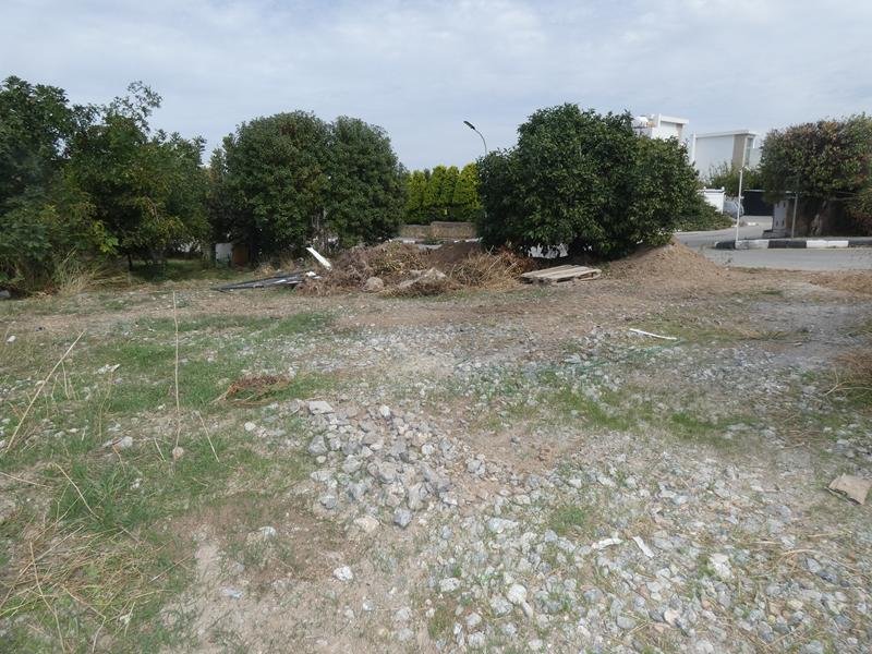 Picture of Property