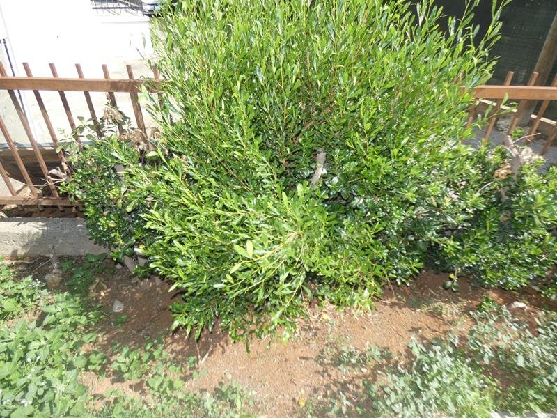 Picture of Property