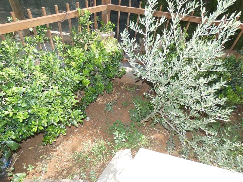 Picture of Property