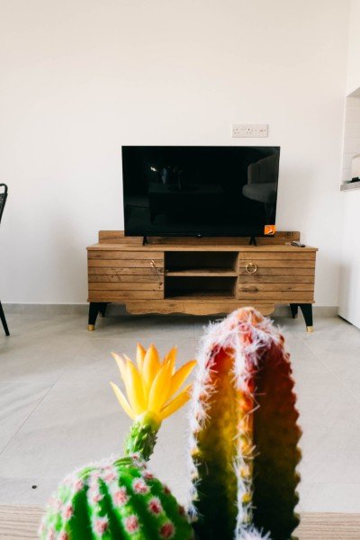 Picture of Property