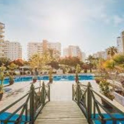 Picture of Property