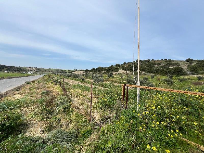 Picture of Property