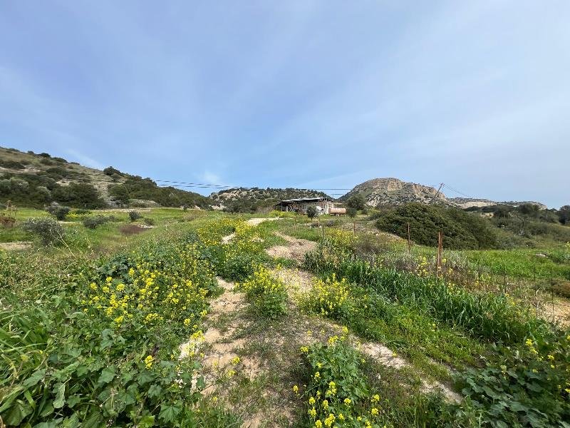 Picture of Property