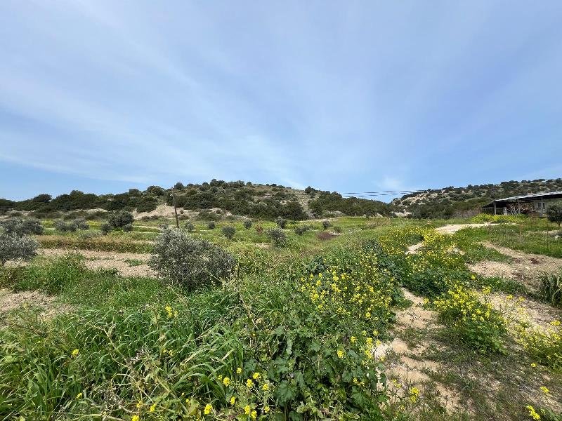 Picture of Property