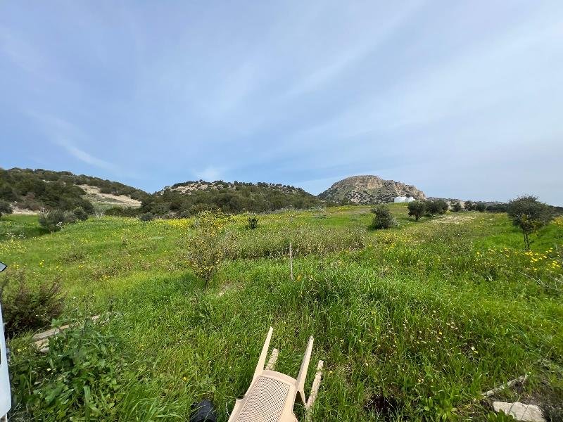 Picture of Property