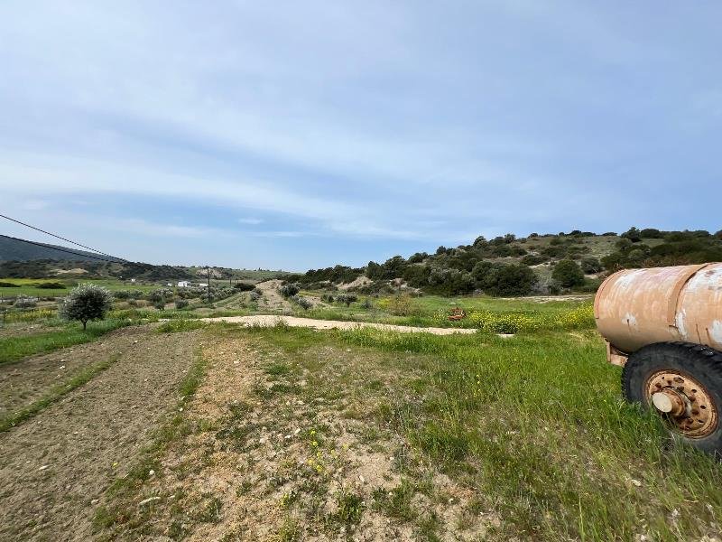 Picture of Property