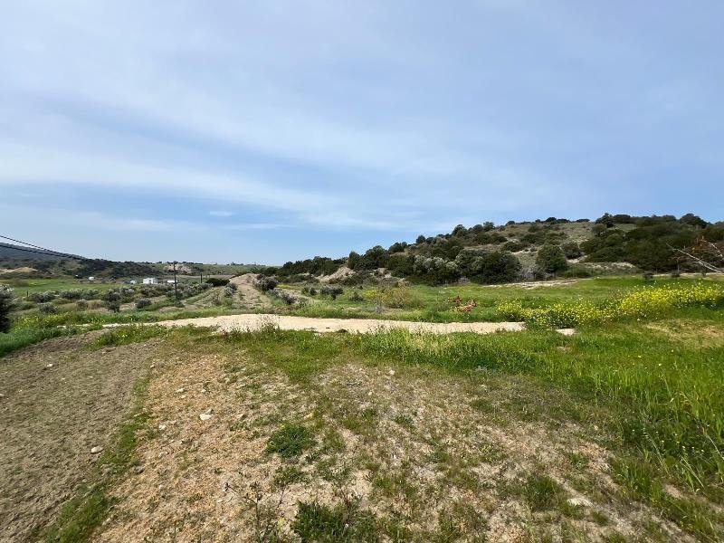 Picture of Property
