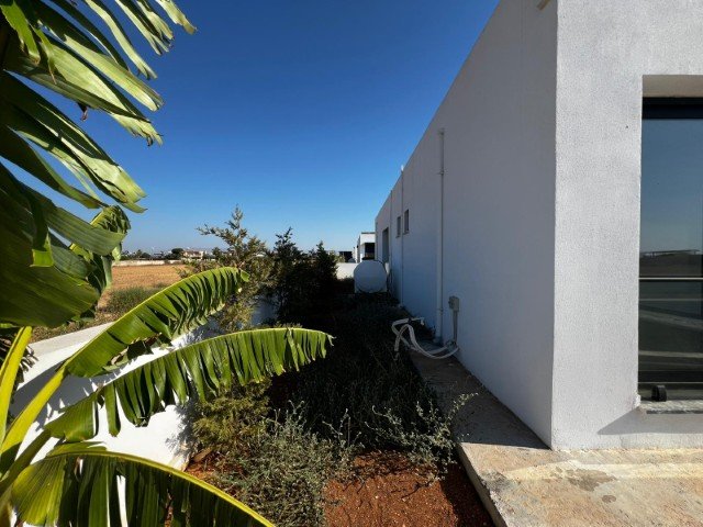 Picture of Property