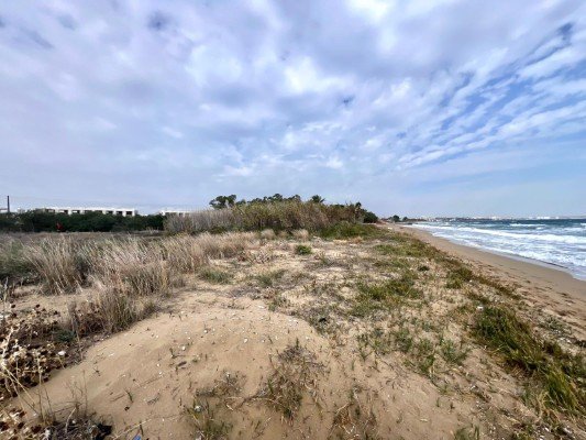 Picture of Property