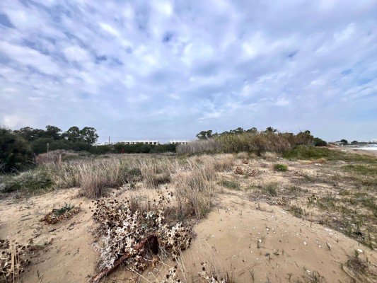Picture of Property