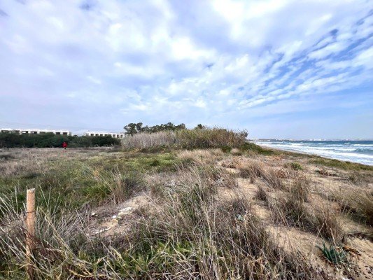 Picture of Property