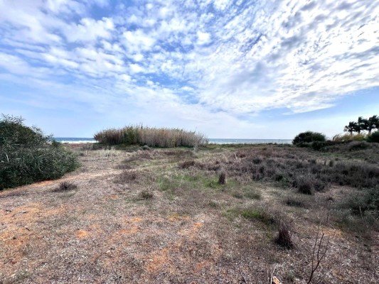 Picture of Property