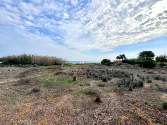 Picture of Property