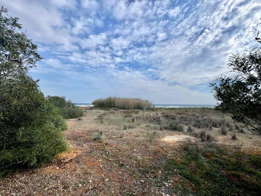 Picture of Property