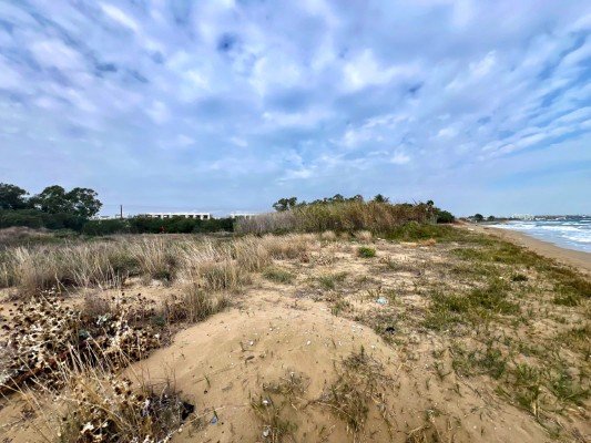 Picture of Property