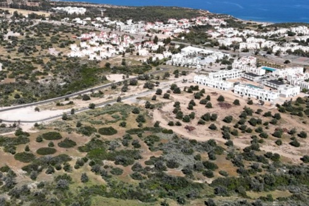 Picture of Property