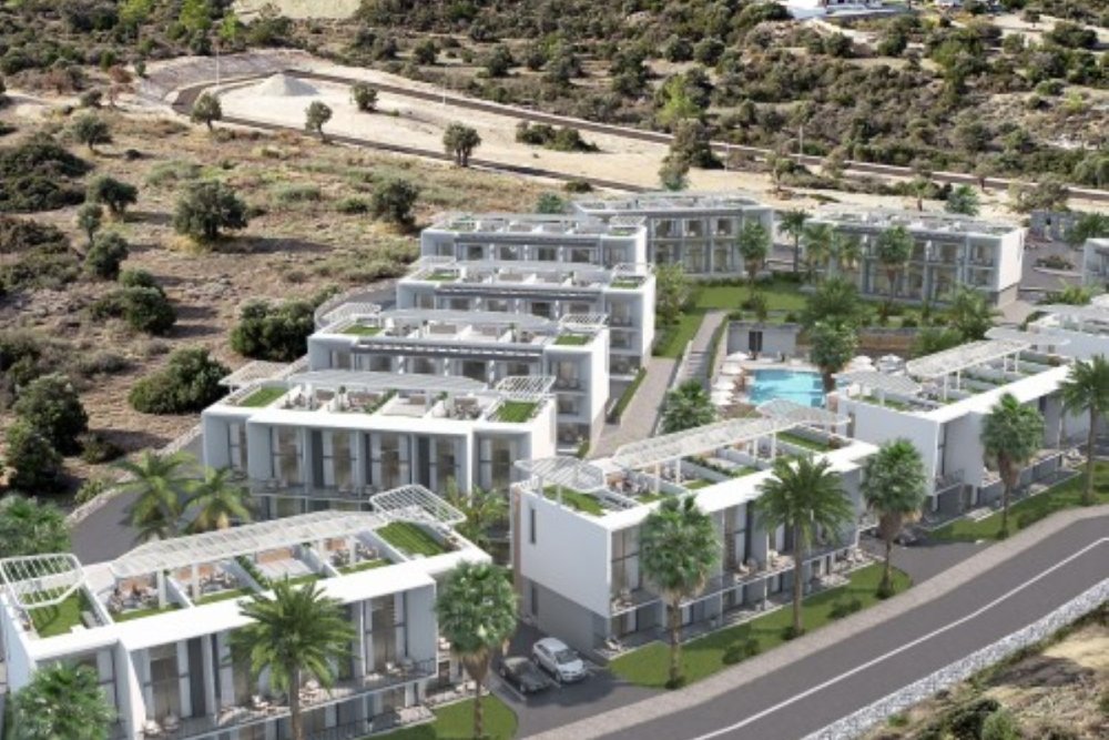 Picture of Property