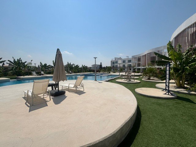 Picture of Property