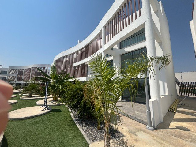 Picture of Property