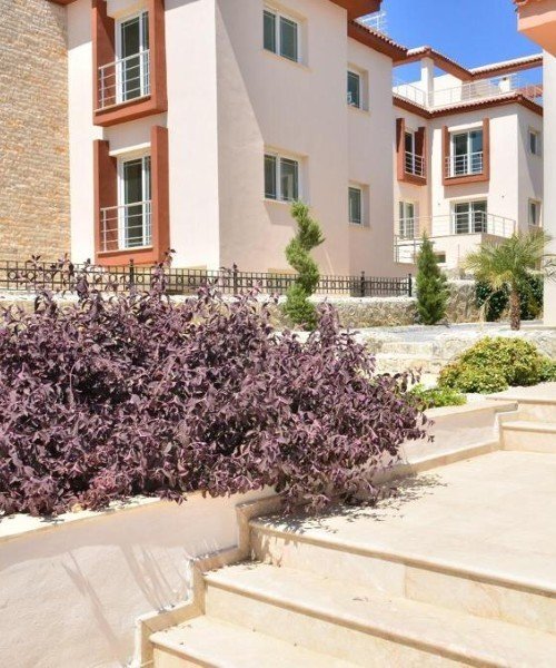 Picture of Property