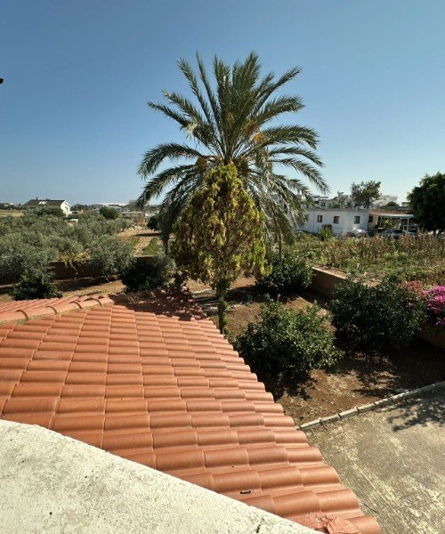Picture of Property