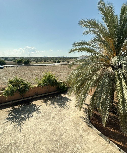 Picture of Property