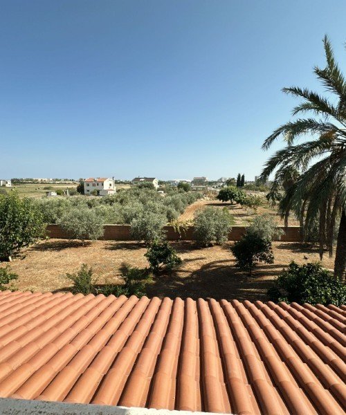 Picture of Property