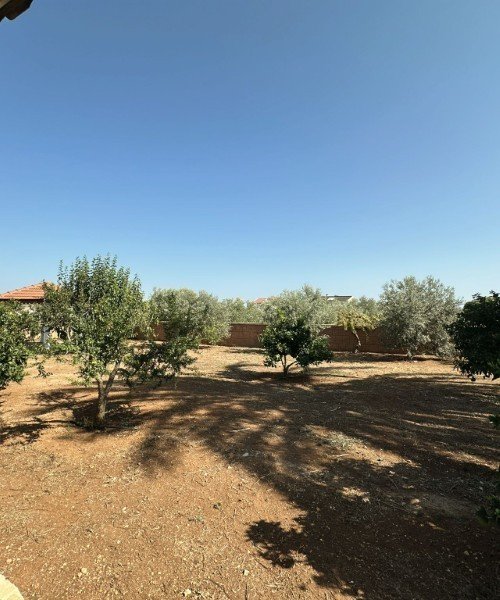 Picture of Property