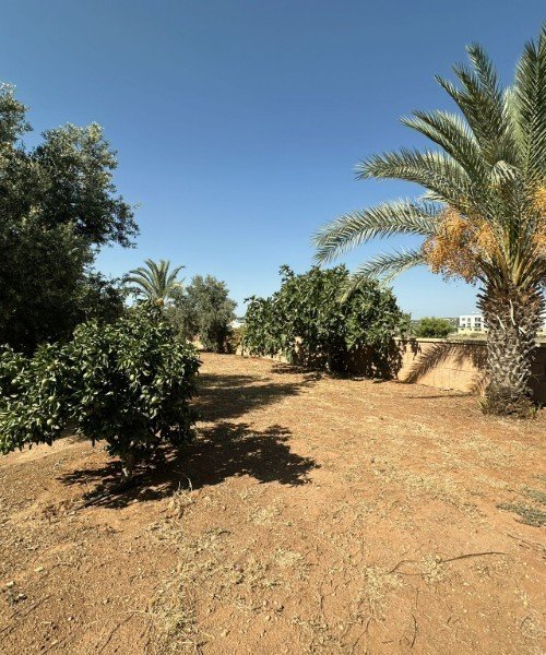 Picture of Property