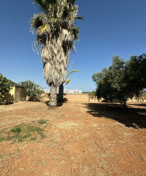 Picture of Property