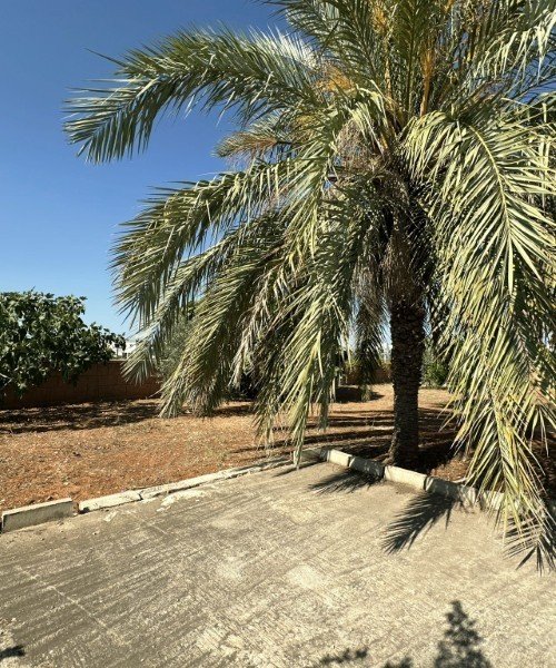 Picture of Property