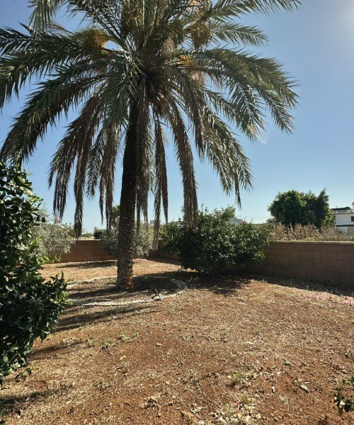Picture of Property