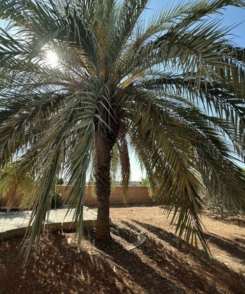 Picture of Property