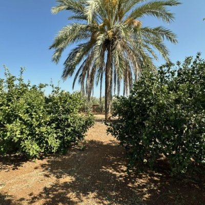 Picture of Property