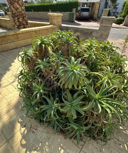Picture of Property