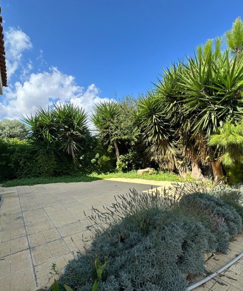 Picture of Property