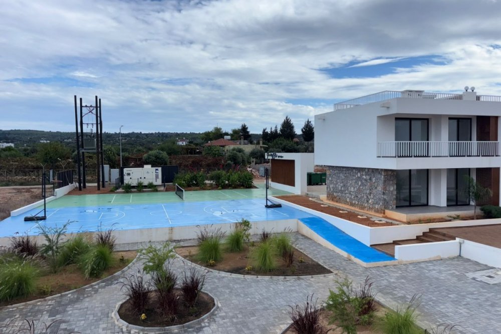 Picture of Property