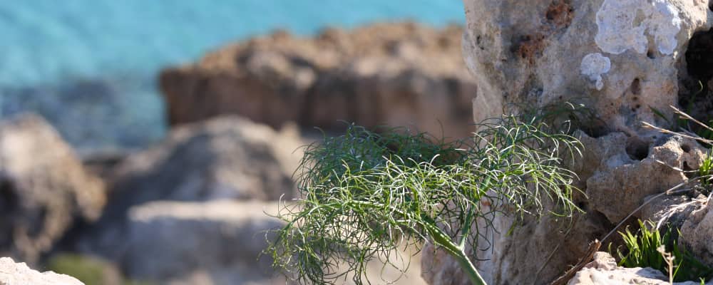 Images from around North Cyprus